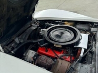 1975 Chevrolet Corvette for sale in Michigan (ID-126546)