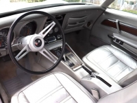 1975 Chevrolet Corvette for sale in Michigan (ID-126571)