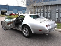 1975 Chevrolet Corvette for sale in Michigan (ID-126571)