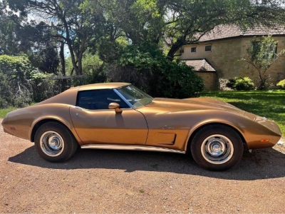 1975 Chevrolet Corvette for sale