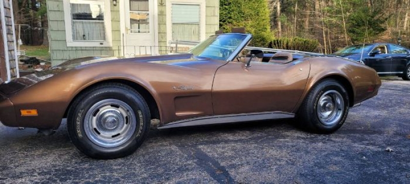 1975 Chevrolet Corvette for sale in Michigan (ID-128473)