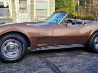 1975 Chevrolet Corvette for sale in Michigan (ID-128473)