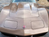 1975 Chevrolet Corvette for sale in Michigan (ID-128473)