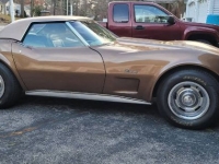 1975 Chevrolet Corvette for sale in Michigan (ID-128473)
