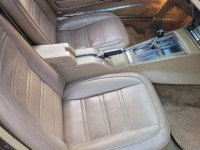 1975 Chevrolet Corvette for sale in Michigan (ID-128473)