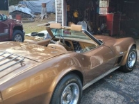 1975 Chevrolet Corvette for sale in Michigan (ID-128473)