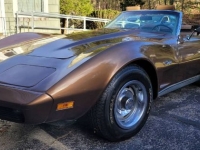 1975 Chevrolet Corvette for sale in Michigan (ID-128473)