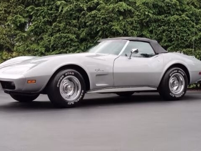 1975 Chevrolet Corvette for sale