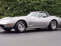 1975 Chevrolet Corvette for sale in Addison, Illinois (ID-128648)