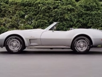 1975 Chevrolet Corvette for sale in Addison, Illinois (ID-128648)