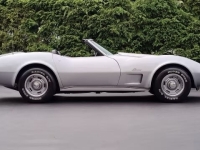 1975 Chevrolet Corvette for sale in Addison, Illinois (ID-128648)