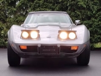 1975 Chevrolet Corvette for sale in Addison, Illinois (ID-128648)