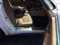1975 Chevrolet Corvette for sale in Michigan (ID-128714)