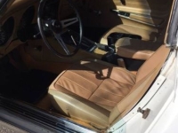 1975 Chevrolet Corvette for sale in Michigan (ID-128714)