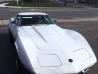 1975 Chevrolet Corvette for sale in Michigan (ID-128714)