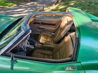 1975 Chevrolet Corvette for sale in Michigan (ID-130084)