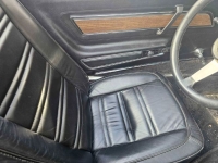 1975 Chevrolet Corvette for sale in Michigan (ID-130170)