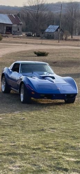 1975 Chevrolet Corvette for sale in Michigan (ID-130187)