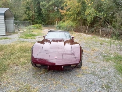 1975 Chevrolet Corvette for sale 1975 Chevrolet Corvette for sale