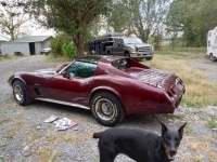 1975 Chevrolet Corvette for sale in Michigan (ID-133313)