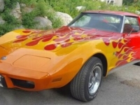 1975 Chevrolet Corvette for sale in Michigan (ID-133392)