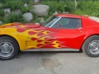 1975 Chevrolet Corvette for sale in Michigan (ID-133392)