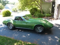 1975 Chevrolet Corvette for sale in Michigan (ID-133614)