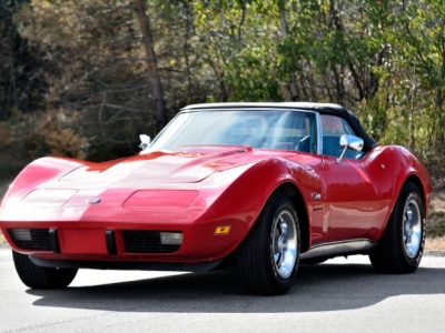 1975 Chevrolet Corvette for sale in Michigan