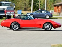 1975 Chevrolet Corvette for sale in Michigan (ID-134080)