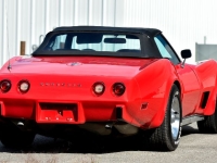 1975 Chevrolet Corvette for sale in Michigan (ID-134080)