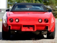 1975 Chevrolet Corvette for sale in Michigan (ID-134080)