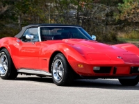 1975 Chevrolet Corvette for sale in Michigan (ID-134080)