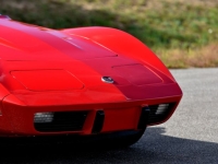 1975 Chevrolet Corvette for sale in Michigan (ID-134080)