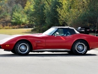 1975 Chevrolet Corvette for sale in Michigan (ID-134080)