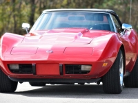 1975 Chevrolet Corvette for sale in Michigan (ID-134080)