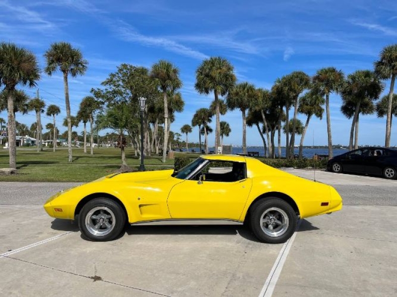 1975 Chevrolet Corvette for sale in Michigan (ID-136143)