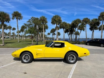 1975 Chevrolet Corvette for sale