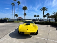1975 Chevrolet Corvette for sale in Michigan (ID-136143)
