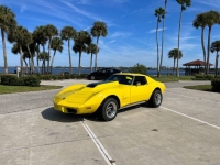 1975 Chevrolet Corvette for sale in Michigan (ID-136143)