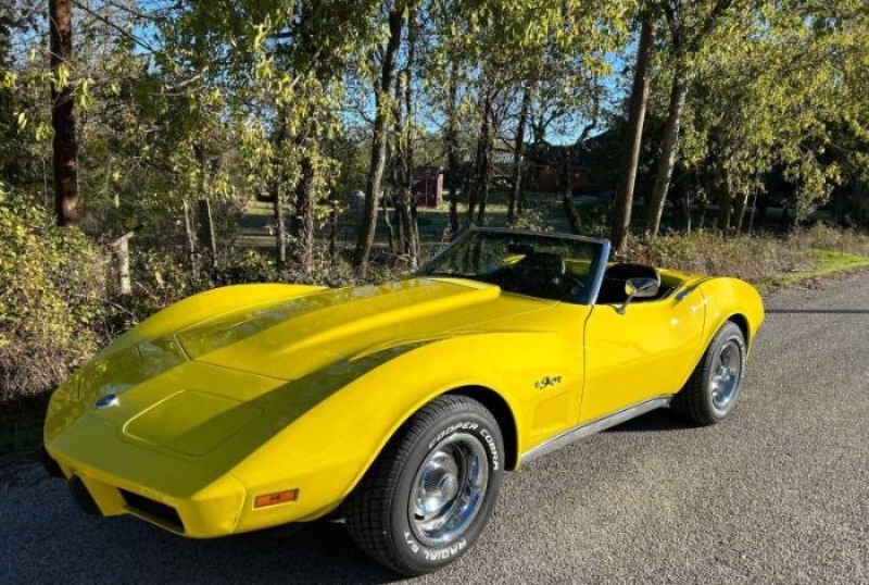 1975 Chevrolet Corvette for sale in Michigan (ID-136402)