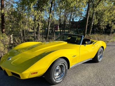 1975 Chevrolet Corvette for sale