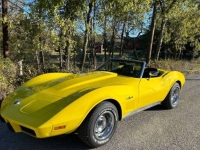 1975 Chevrolet Corvette for sale in Michigan (ID-136402)