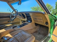 1975 Chevrolet Corvette for sale in Michigan (ID-138964)