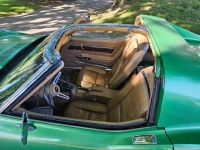1975 Chevrolet Corvette for sale in Michigan (ID-138964)