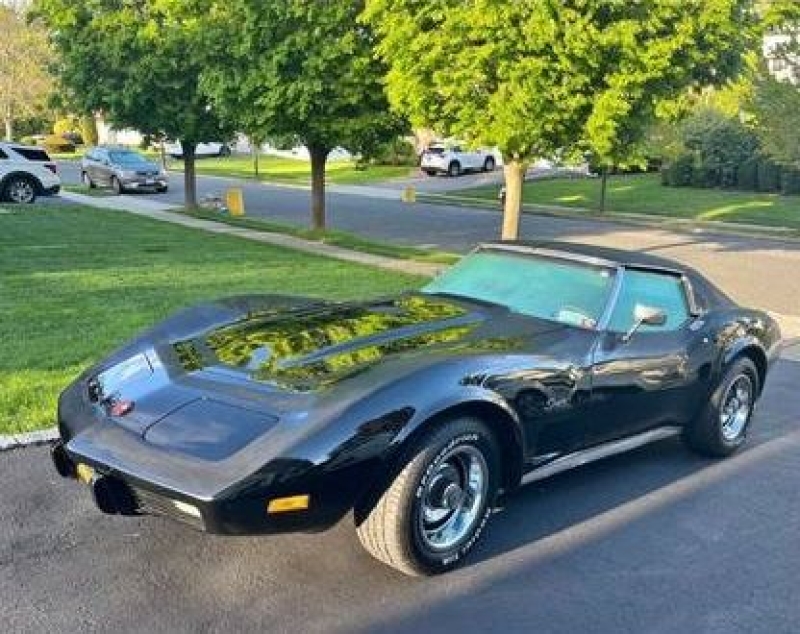 1975 Chevrolet Corvette for sale in Michigan (ID-140319) 1975 Chevrolet Corvette for sale in Michigan (ID-140319)