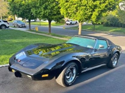 1975 Chevrolet Corvette for sale