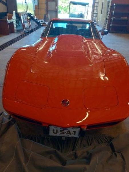 1975 Chevrolet Corvette for sale in Michigan (ID-141419) 1975 Chevrolet Corvette for sale in Michigan (ID-141419)