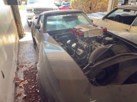 1975 Chevrolet Corvette for sale in Michigan (ID-141524)