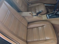 1975 Chevrolet Corvette for sale in Michigan (ID-142653)