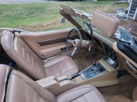 1975 Chevrolet Corvette for sale in Michigan (ID-143556)